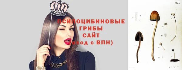 не бодяженный Няндома