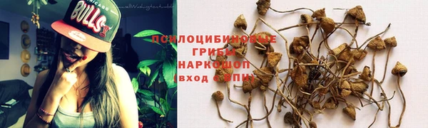 мескалин Осташков