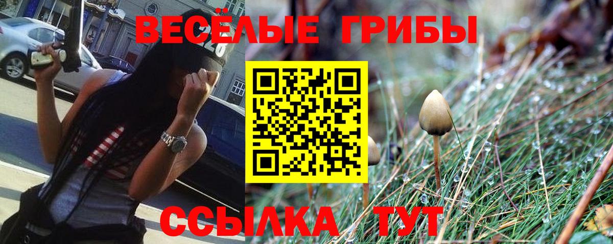 Псилоцибиновые грибы Psilocybine cubensis  Вход с VPN  Волоколамск 