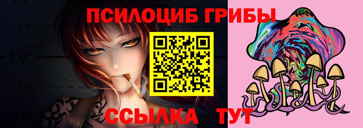 закладка  Волоколамск  Псилоцибиновые грибы Psilocybine cubensis 