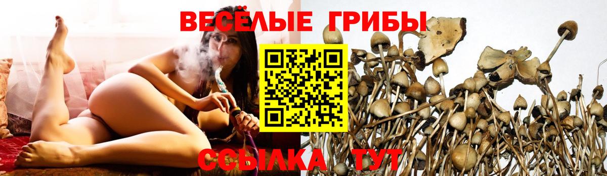 Галлюциногенные грибы мицелий Волоколамск