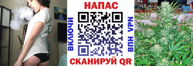 Марихуана Bruce Banner  Волоколамск 